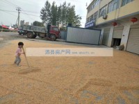 其它图