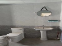 其它图