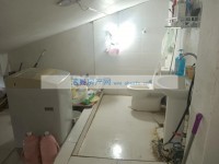 其它图