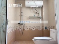 其它图