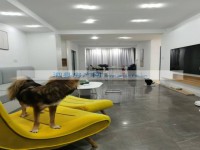 其它图