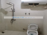 其它图