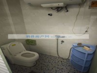 其它图