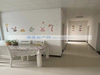 其它图