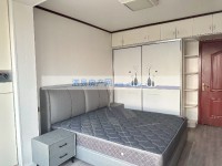其它图